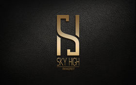 Logo firmy - SKY HIGH Management