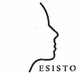 Logo firmy - ESISTO
