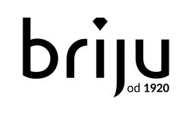 Logo firmy - BRIJU