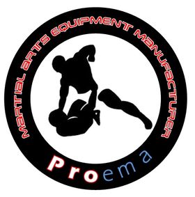 Logo firmy - PROEMA